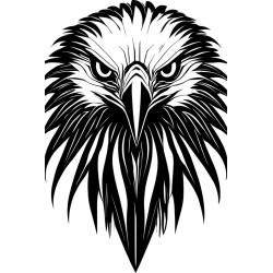 t-shirt Aigle - pour femme - Atypics