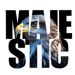 T-shirt MAJESTIC | Atypics