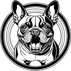 T shirt Bouledogue Français - pour homme  - Atypics