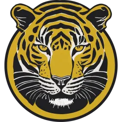 T Shirt tigre - pour Homme - Atypics