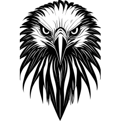 détail t-shirt blanc homme 100% coton  imprimé d'une tête d'aigle